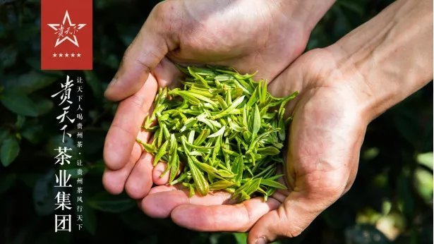 貴州貴天下茶業(yè)集團有限責(zé)任公司